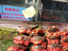 -辉记炭烧海鲜大排档·老字号(福田店)