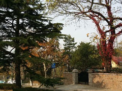 android_upload_pic-八大关景区