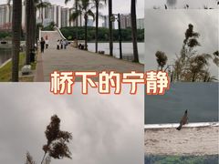 -南宁南湖公园