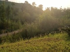 -小八仙·宴(三峡茶庄店)