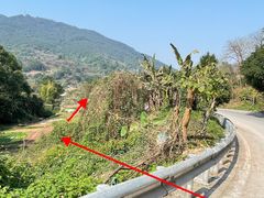 -南山植物园
