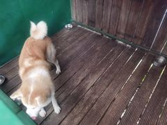 -太极禅苑