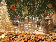 -拉斯维加斯永利酒店