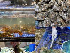 -高佳庄·舟山海鲜(海景旗舰店)