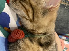 -么么咖啡(燕郊店)