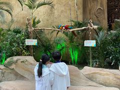 -杭州开元森泊度假乐园