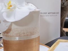 生命的礼物-Biteology Artisan Cakes(红庄·国际文化保税创新园店)