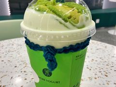 -茉酸奶(春熙路店)