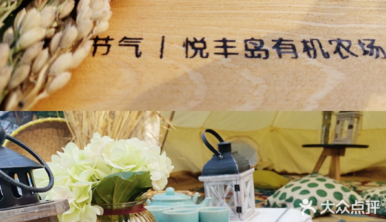 雅高心悦界x周雪龙|阳澄湖好蟹金秋赶蟹季