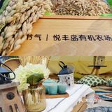雅高心悦界x周雪龙|阳澄湖好蟹金秋赶蟹季