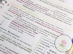 -新东方成人英语学习考试·口语·商务(延安路校区)