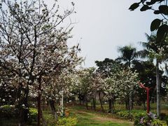 -荔湾区儿童公园