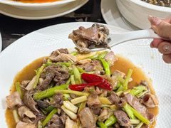 -绿野仙踪·印象(香樟名都店)