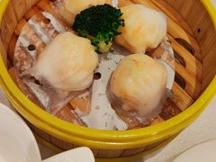 -潮江春(阳光店)