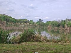-白鹭湾湿地公园