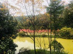 -南国桃园旅游度假区