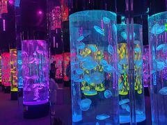 -成都浩海立方海洋公园