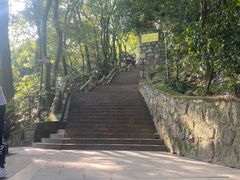 -狼山风景名胜区