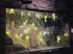 -湖南省地质博物馆