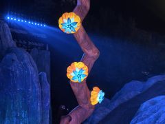 -横店影视城梦幻谷园区