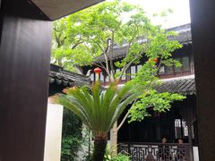 -上海醉白池公园