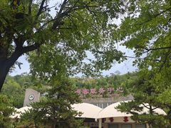 -崆山白云洞