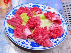 -朱光玉火锅馆(龙阳广场店)