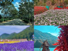 -广州市石门国家森林公园