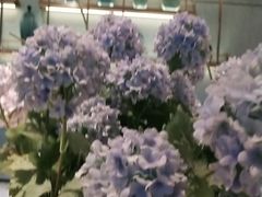 -春申里餐厅(银泰in99店)