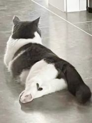 -Oasis Beauty水磨坊科技美肤中心