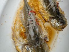 -1937青岛老味道·海肠捞饭·青岛菜(大鲍岛栈桥店)