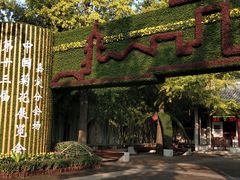 -汇龙潭