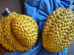 -百果园PAGODA(应元路店)