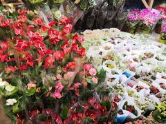 -双季花艺园艺市场(浦东店)