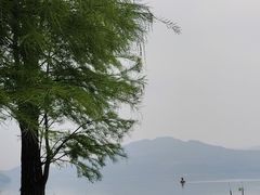 -四明湖