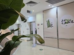 -南航明珠v2头等舱公务舱休息室