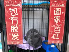 -荔康动物医院(康王北路店)