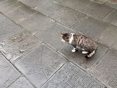 -成都杜甫草堂博物馆