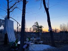 -安德鲁户外烧烤帐篷营地(马泉营店)