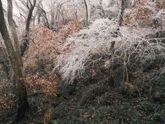 -南京市江宁方山