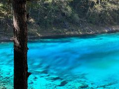 -九寨特色牦牛肉汤锅 羊肉汤锅