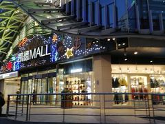 -凯德MALL(望京店)