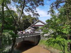 -中国大熊猫保护研究中心雅安碧峰峡基地