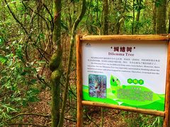 -广州市石门国家森林公园