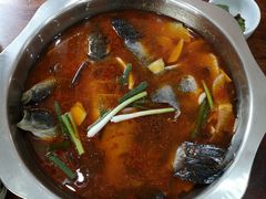 酸萝卜鱼火锅-大理.老字号渝记酸萝卜乌鱼(古城总店)