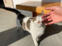 -东方艺术博物馆