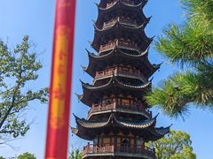 -龙华素斋(龙华路店)