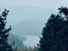 -四明山国家森林公园