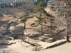 -大连森林动物园