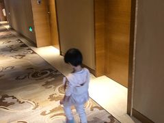 -廊坊固安福朋喜来登酒店
